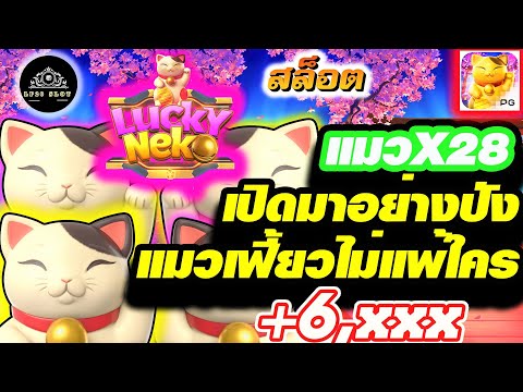 สล็อตเว็บตรงไม่ผ่านเอเย่นต์ : lucky neko สล็อตแมว แมวX28 เปิดมาอย่างปัง แมวเฟี้ยวไม่แพ้ใคร