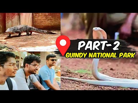 🤯Guindy National Park Adventure: Discover Snakes, Wildlife in Chennai!