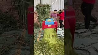 Cattle Feed  Silage Sheep Chaff Cutter Machine for Goat Farm