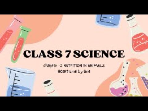 CLASS 7 | SCIENCE | CHAPTER 2 | NUTRITION IN ANIMALS | NCERT LINE BY LINE EXPLANATION