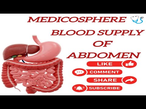Overall Blood Supply of Abdomen.
