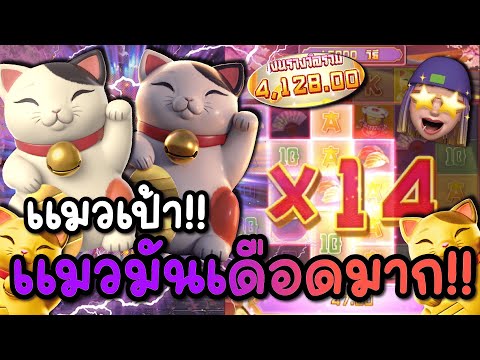 Lucky Neko : สล็อตPG สล็อตแมวทอง แมวเป้า มันเดือดมาก สล็อตแตกง่าย!!