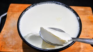 Homemade Thick Curd | How to Make Thick Curd | Easy Curd recipe