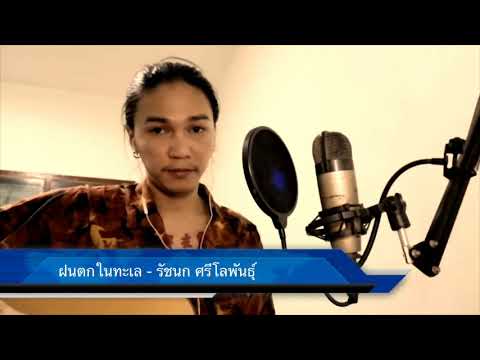 ฝนตกในทะเล - รัชนก ศรีโลพันธุ์  Cover มอส ขจรจารุกุล