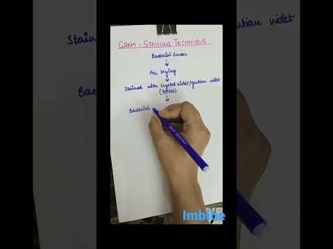 Gram Staining Technique #biology #bacteria #neet