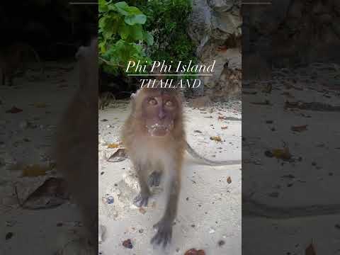 Phi phi island Thailand