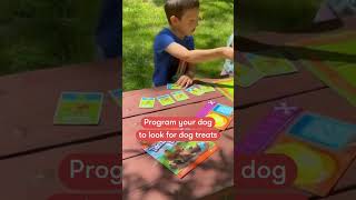 Adventures in early coding with dog park game, Team Digger!