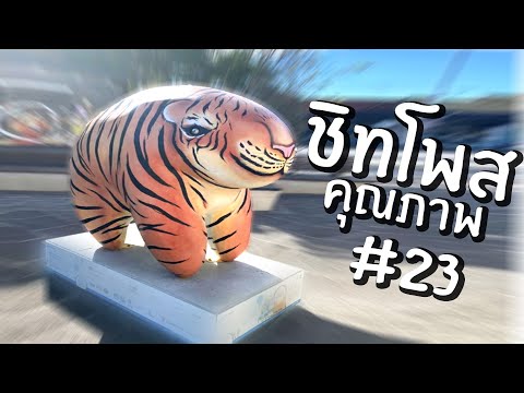 ชิทโพสเค็มๆ 23 | Reddit Review #55