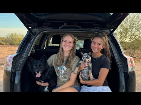 4 in the RAV4 (Summit’s first hike)