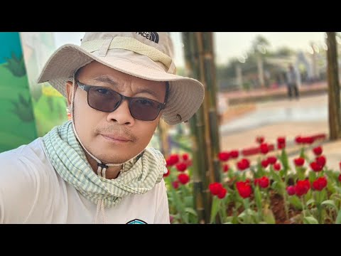 Vlog - รีวิวถนนดอกไม้ริมกว๊านพะเยา 67 สบายสไตล์เก๋ง #เมืองสาวสวย #เที่ยวเมืองรอง