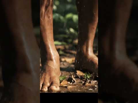 The song you didn't know you needed to hear! #tribal #youtubeshorts #wow #fyp #trending #mmviralgod