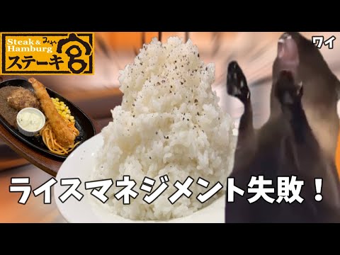 【ステーキ宮】ハンバーグ＆エビフライとかいう豪華セットでライスを爆食して腹パンになるだけの話【宮のたれ】#猫ミーム #猫マニ