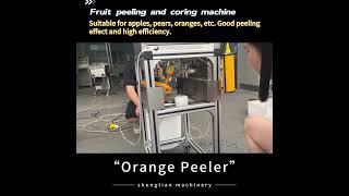 ST-XL120 Orange Peeling Machine #Applepeeling #peelingmachine #fruitprocessing #foodmachinery