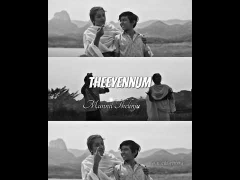 Anguvaana konil song status| ARM Movie songs| Lyrical status|#tovinothomas  #krithishetty #armmovie