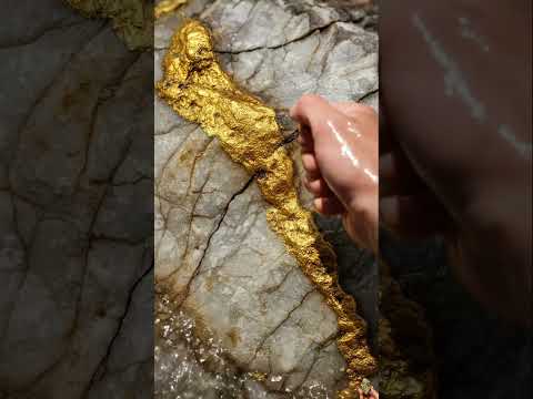 Real or fake Gold 🪙😮  #golddiscovery #treasure#goldhunting #gold #goldrush #goldnugget