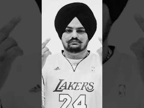 Thaapi | A Tribute  @SidhuMooseWalaOfficial   | D Inder | Part-2 |   @DoabaRecords ​