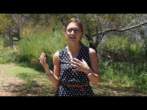 International Day of Women and Girls in Science - Margaux's profile