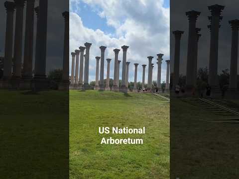 US National Arboretum, Washington DC, #washingtondc #arboretum  #usa #malayalam