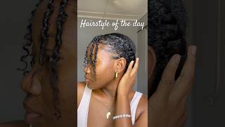 Don’t Be Boring With Your Natural Hair #haircare #protectivestyles #naturalhair #sharonscrown #fyp