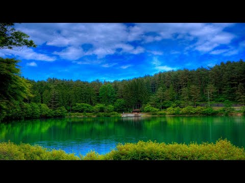 Relaxing Music, Meditation Music, Sleeping Music, Yoga Music, Spa Music, Study Music, Insomnia ☯020