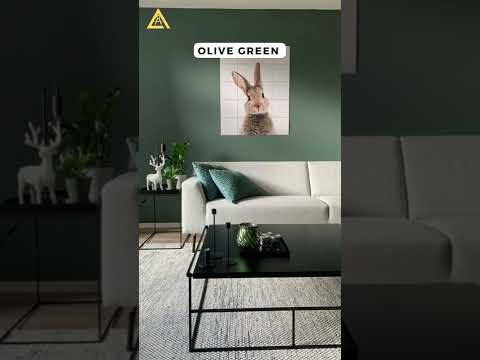 Wall colours that look great with grey furniture.#shorts #design #tips