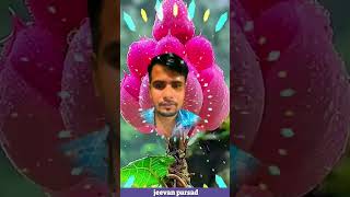 #dharmik logon ke liye