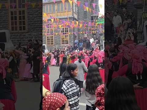 shimla carnival festival 2024 Pahari Nati Dance Shimla nati | Natti Sirmour Waliye