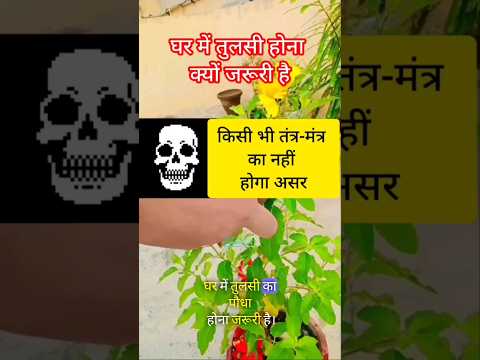 प्रत्येक घर में तुलसी का पौधा होना चाहिए | #pradeepmishra