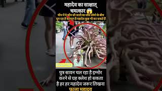 🕉 महादेव का साक्षात चमत्कार 😱 #mahadev #shortvideo #shorts #pokhannishad #vinitasahuncc