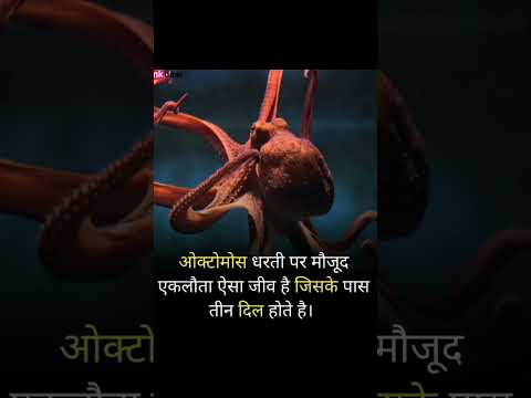 #youtube #youtubeshorts #shortsfeed #shortsvideo #shortsvideo #shortsvideo #khansir