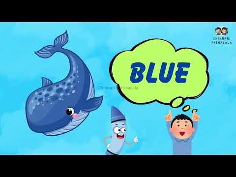 🌈  🟥🟩🟦 Can You Guess the Color? | Fun Color Quiz for Children | Learn Colors |Kidseducation