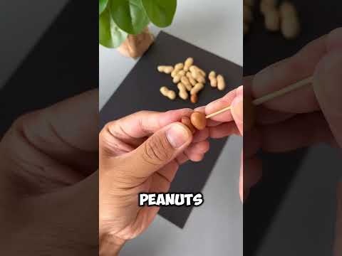 created this fun and unique character by joining two peanuts to a bamboo skewer and adding