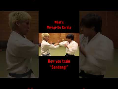 【三段技】 #空手 #空手道場 #剛柔流 #コブラ会 #兄弟 #miyagido #miyagidokarate #eaglefang #cobrakai #karate #brother