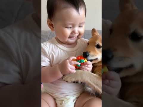 The baby playing with dog. #dog #pets #funny #cute #baby #babyanddog