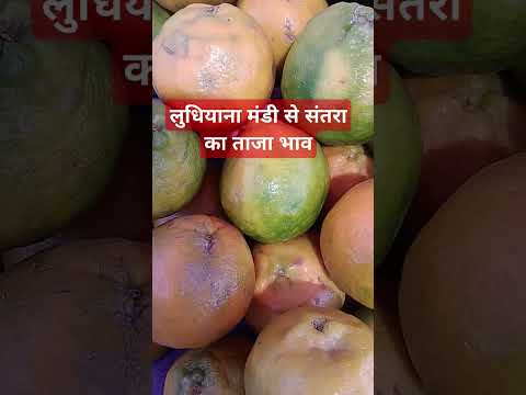 19 मार्च 2025 लुधियाना मंडी #संतरा का रिटेल भाव#vegetableprice