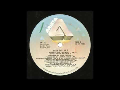 WITNESS THE CHANGE - Pete Shelley