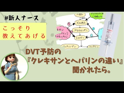 DVT予防の薬の違い★聞かれて困る前に見てちょ♡#新人ナース#勉強#クレキサン#リクシアナ