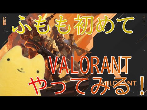 【VALORANT】ふもも初めてVALORANTをやってみる！＃VALORANT＃IV＿ふもも