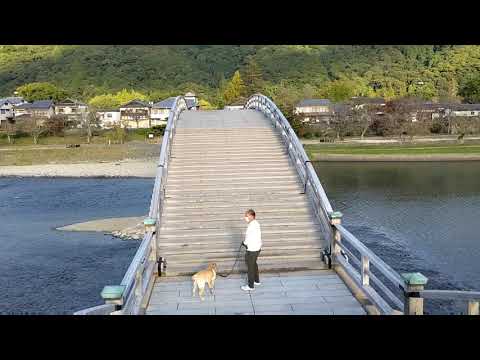 九州への旅 本州編（錦帯橋、秋芳洞）