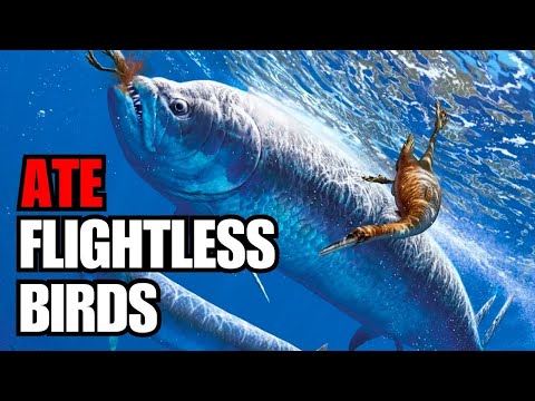 The Fiercest Fish Of The Cretaceous Seas