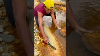 Unique discovery, splitting river sand filled with gold #goldmining #goldpanning