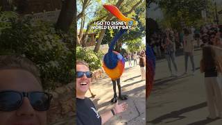 First 5 Rides to Ride in Disney’s Animal Kingdom