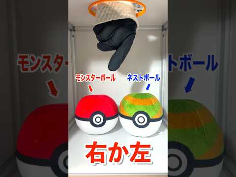 【右左どっち】ポケカ女子が選んだパック開封してみた！#ポケカ #ポケカだいすきクラブ #開封