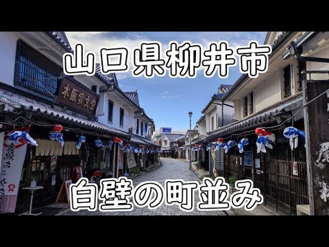 山口県観光②　【西日本一周#15】秋吉台～別府弁天池～柳井白壁の街並み・醬油蔵