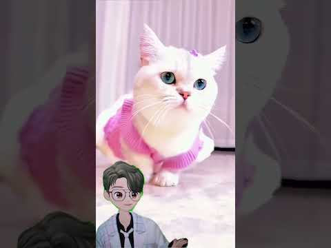 Sweet and happy cat #kucinglucu #cat #duniakucinglucu