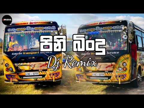 Pini Bindu New Trending Song Dj Remix.♥️🤝🎧