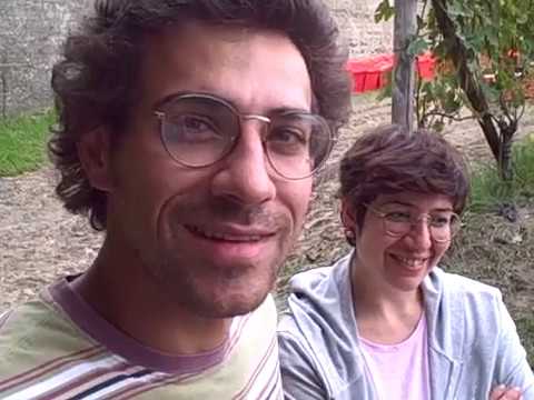 DBGitalia with Cristina & Paolo of La Contrada di Sorano harvesting their Sorano vyd, Oct'19