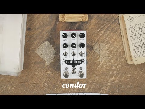 Chase Bliss - Condor