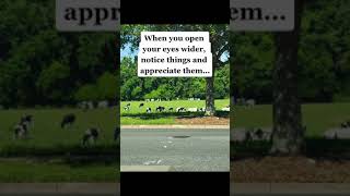 #freethinking
