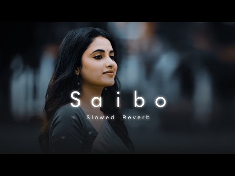 Saibo | Slowed Reverb (Late-night Player)